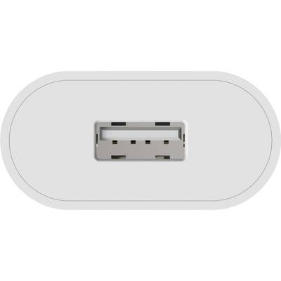 Ein USB-2.0-Anschluss, horizontal in der Mitte eines weißen ovalen Gehäuses platziert.
