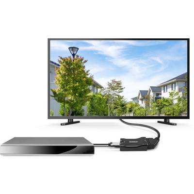 Ein Monitor zeigt ein Bild von Bäumen und Häusern. Der Monitor ist mit einem externen Gerät über ein Kabel verbunden.