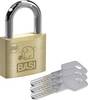 Basi BM5091-0050-0040 Vorhängeschloss 50 mm gleichschließend Schlüsselschloss