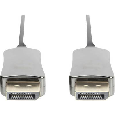 Zwei DisplayPort-Stecker nebeneinander auf weißem Hintergrund, zeigen die Metallkontakte.