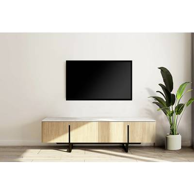 Flachbildfernseher an einer hellen Wand über einem modernen Holzmöbelstück. Rechts steht eine große grüne Zimmerpflanze.