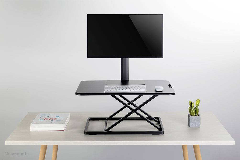 Ein höhenverstellbarer Schreibtischständer mit Monitor, Tastatur und Maus darauf. Daneben ein Buchstapel und ein kleiner Kaktus.