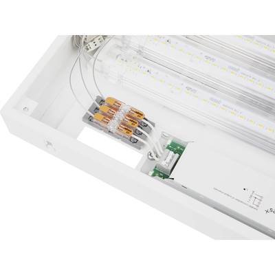 LED-Leuchte mit transparentem Gehäuse, zeigt interne elektrische Verdrahtung und Komponenten, einschließlich eines weißen Konverters und Anschlussklemmen.