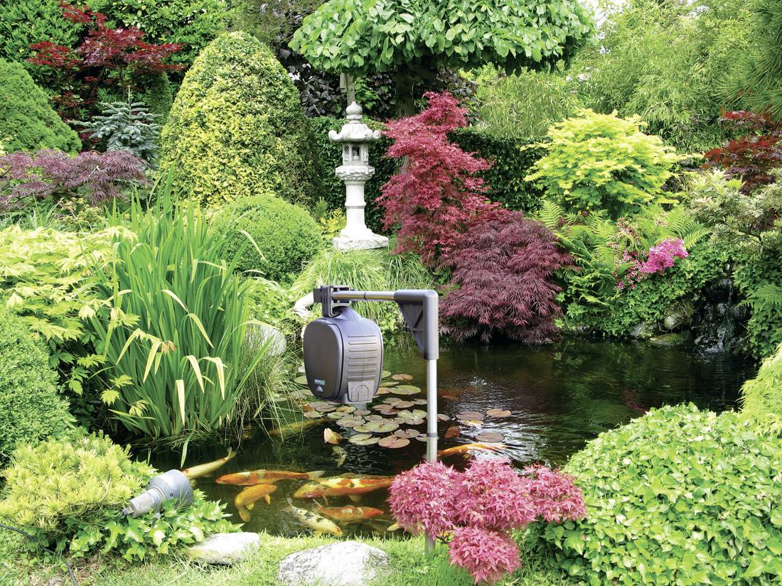 Fischfutterautomat für den Gartenteich