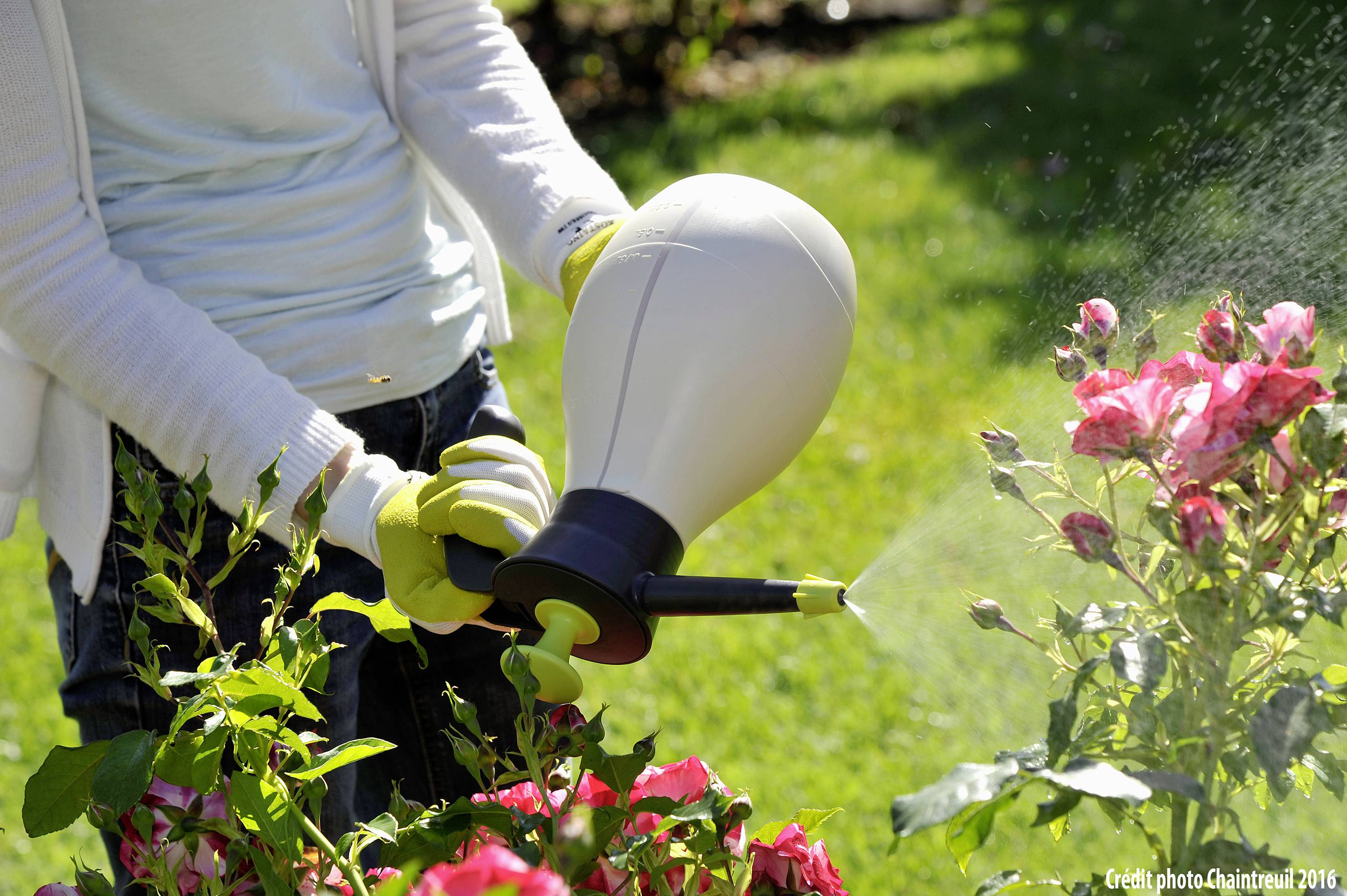 Person besprüht Rosen im Garten mit Pflanzenpflegeprodukt aus einer Sprühflasche. Sonne scheint, Umgebung ist grün und blühend.