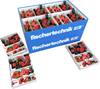 fischertechnik education 559894 Class Set Solar Energy Bausatz