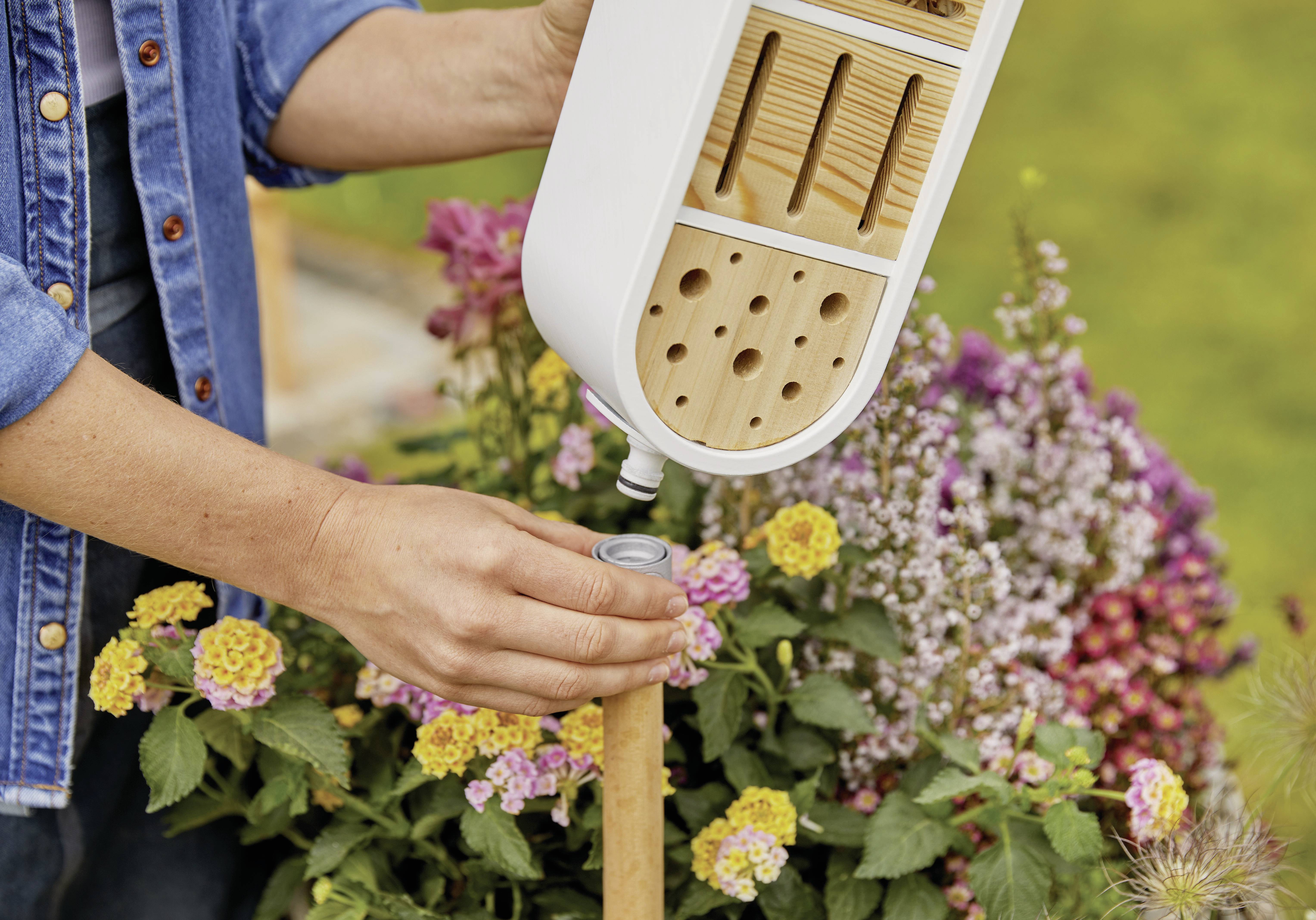 Eine Person hält ein Bienenhotel über blühenden Blumen, um es zu montieren oder aufzustellen. Die Blumen sind bunt und lebendig.