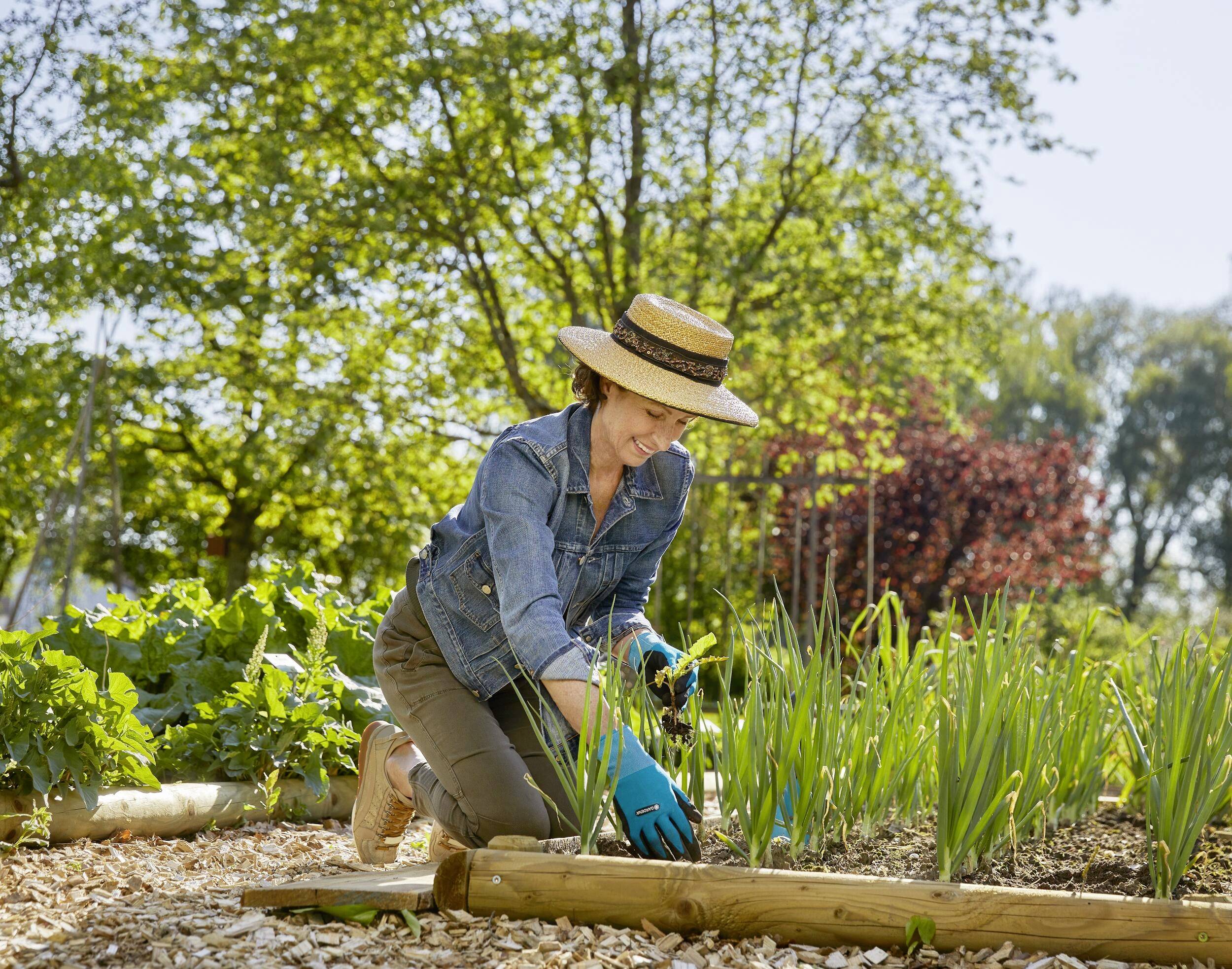 Eine Person mit Strohhut und Handschuhen pflegt Pflanzen in einem sonnigen Garten, umgeben von grünen Bäumen und Sträuchern.