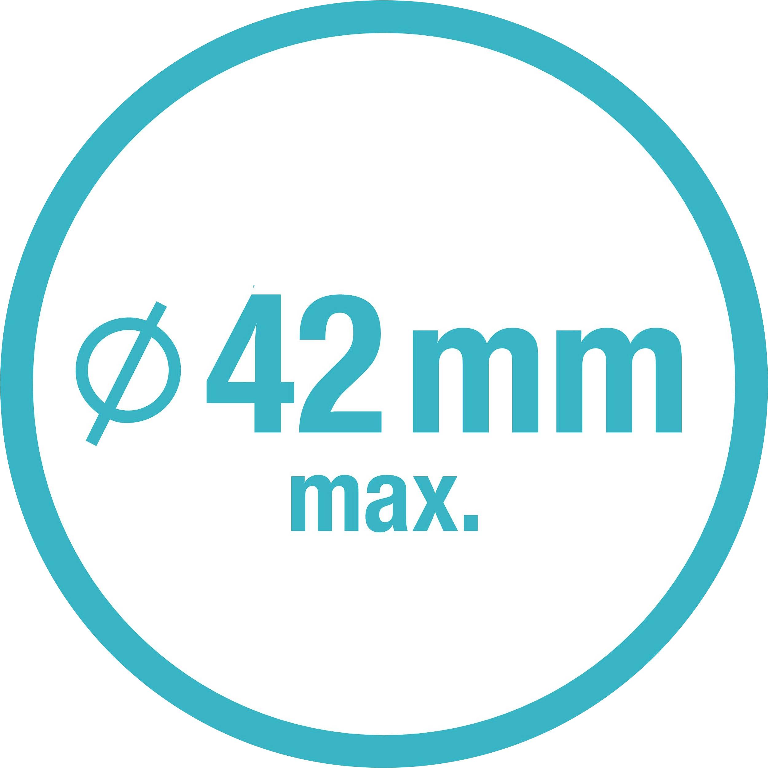 Symbol zeigt 'Ø 42 mm max.', begrenzt den maximalen Durchmesser auf 42 Millimeter.