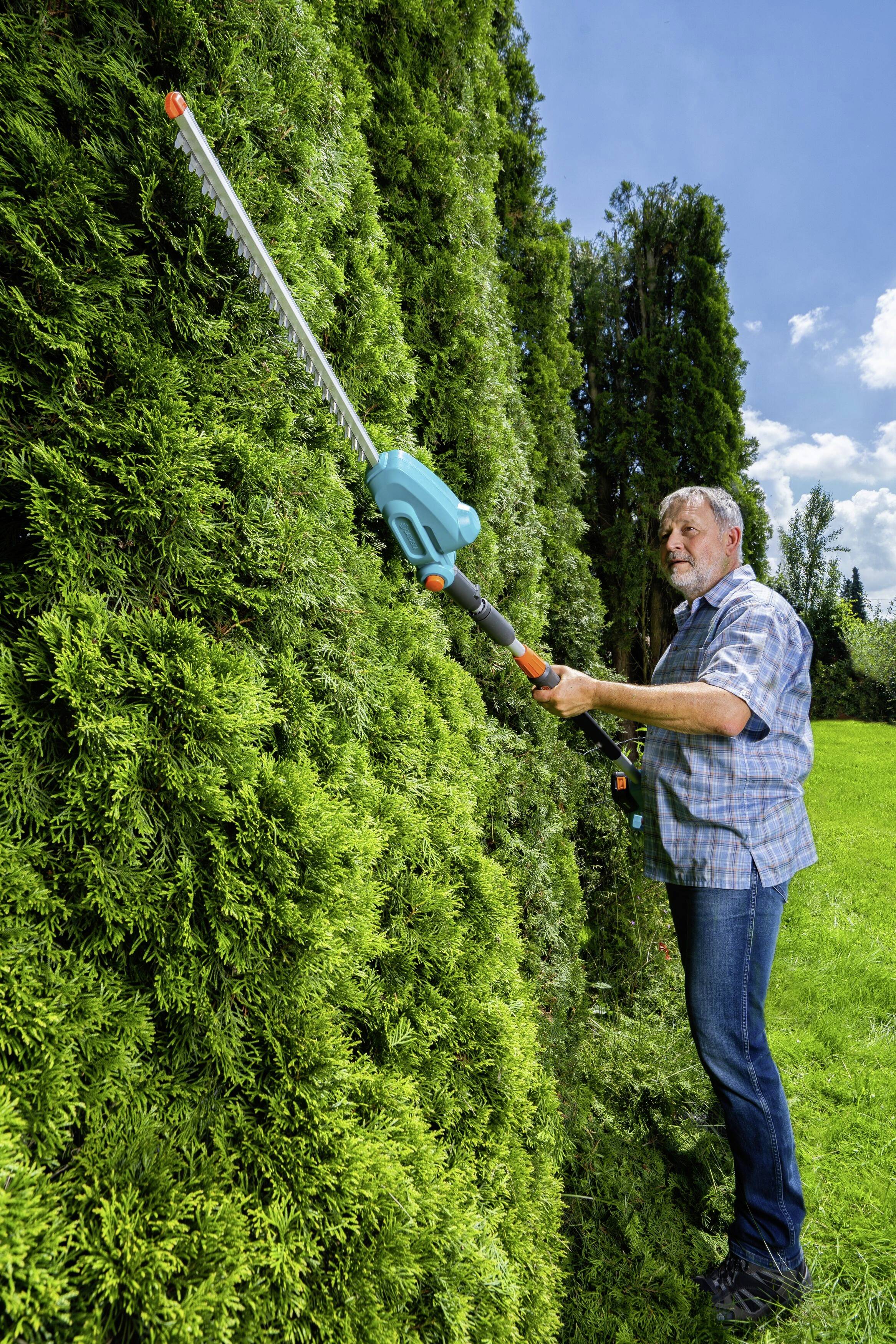 Ein Mann schneidet mit einer elektrischen Heckenschere eine hohe grüne Hecke. Es ist ein sonniger Tag auf einer Wiese.