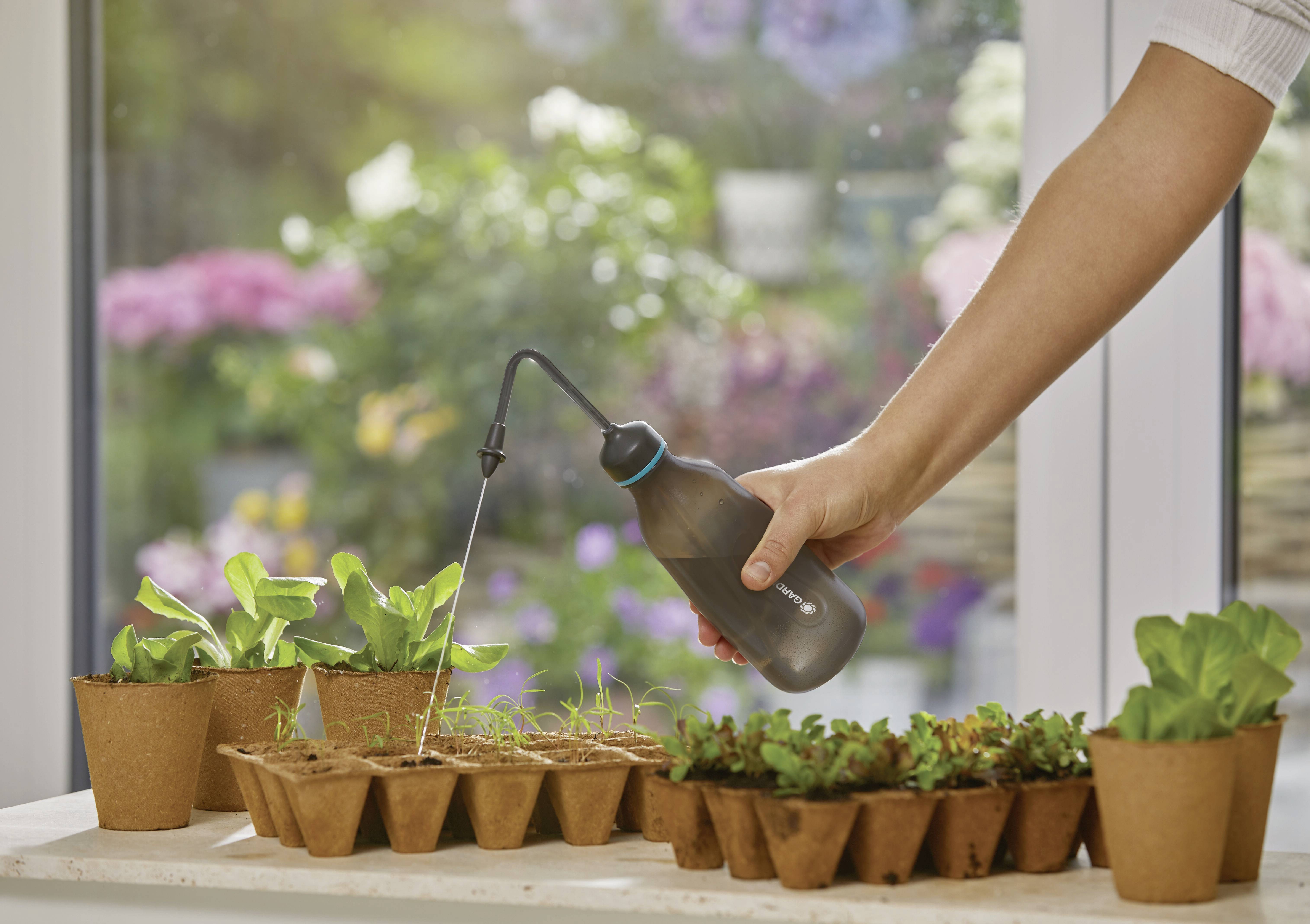 Eine Hand gießt junge Pflanzen in kleinen Töpfen auf einer Fensterbank. Im Hintergrund sind blühende Blumen sichtbar.