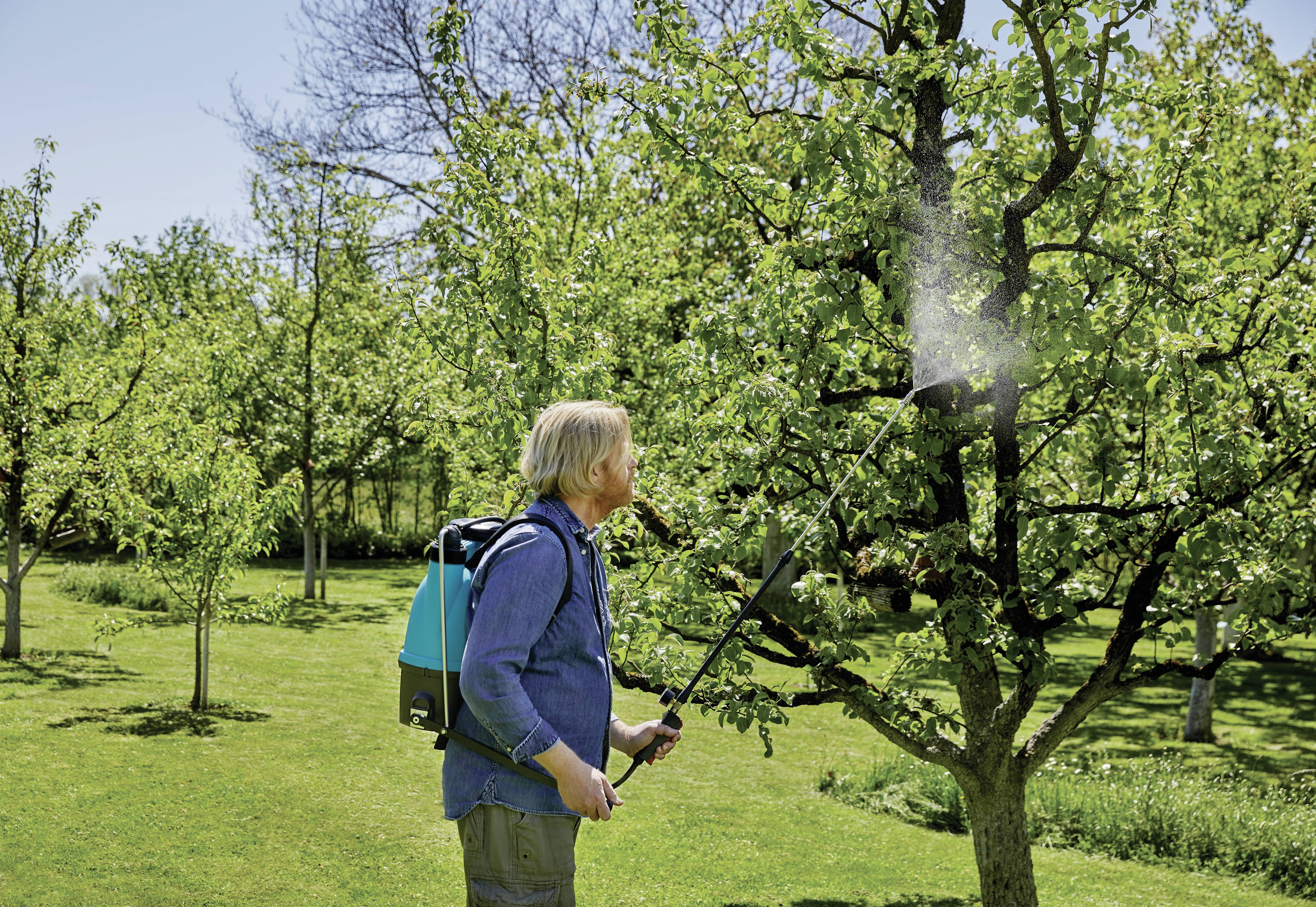 Eine Person sprüht mit einer Sprühvorrichtung Flüssigkeit auf einen Baum in einem grünen Garten, umgeben von weiteren Bäumen.