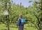 Eine Person besprüht mit einem blauen Rucksackgerät Bäume in einem Obstgarten.