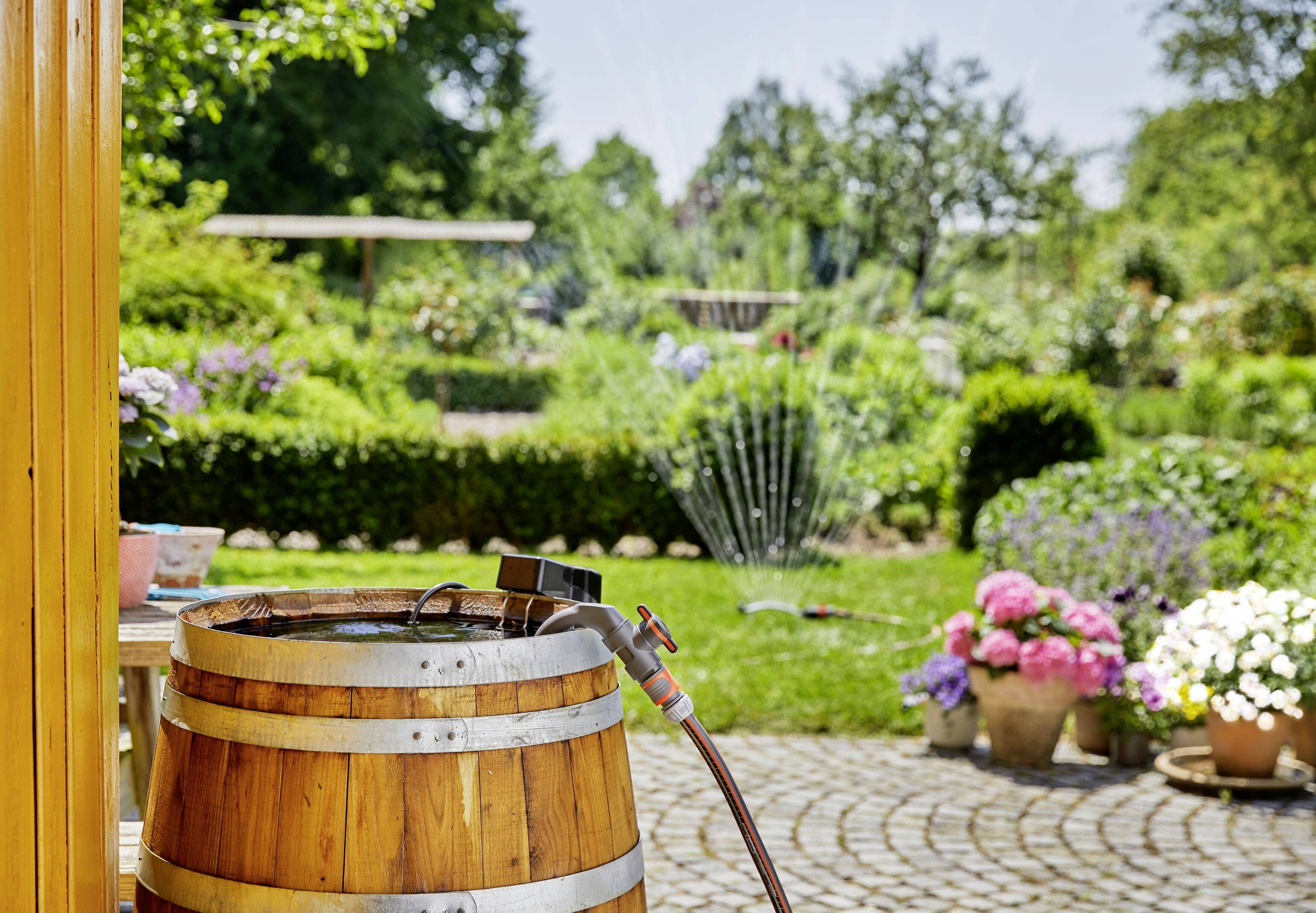 Ein Holzfass mit Schlauch vor einem blühenden Garten, bunter Blumenvielfalt und einem Sprinkler im Hintergrund; sonniger Tag.