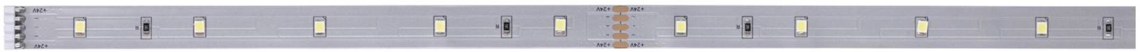 Paulmann MaxLED Stripe Daylight 79857 LED-Streifen 1 m Tageslichtweiß 1 St.