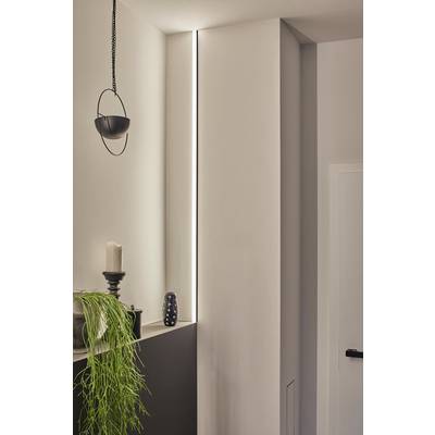 Die Ecke eines modernen Zimmers mit minimalistischer Dekoration. Eine grüne Pflanze und eine Kerze stehen auf einem Regal, daneben ein modernes Licht.