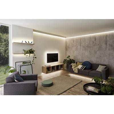 Ein modernes Wohnzimmer mit grauem Sofa, Sessel, Flachbildfernseher, Wandregalen, Pflanzen und großem Fenster mit Blick nach draußen.