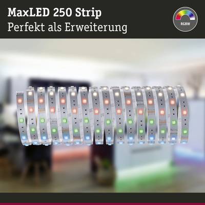 'MaxLED 250 Strip' zeigt ein langes, leuchtendes LED-Band in verschiedenen Farben. Text: 'Perfekt als Erweiterung'. Oberhalb: RGBW-Icon.