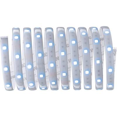 Ein flexibler LED-Lichtstreifen mit bläulich-weißen Dioden, gleichmäßig in regelmäßigen Abständen angeordnet.