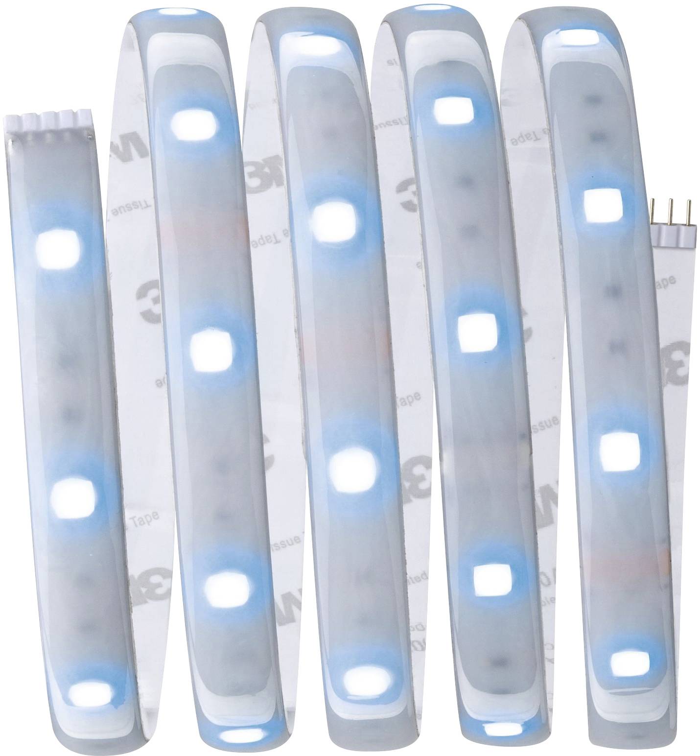 Ein aufgerolltes LED-Lichtband mit blauen und weißen Leuchtelementen auf einem transparenten Träger.