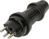 Max Hauri 162202 Netzstecker Schweiz 250 V Schwarz IP55