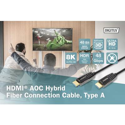 Zwei Personen schauen auf einen Fernseher mit Fußballspiel. Auf dem Bild sind technische Spezifikationen eines HDMI-Kabels zu sehen.