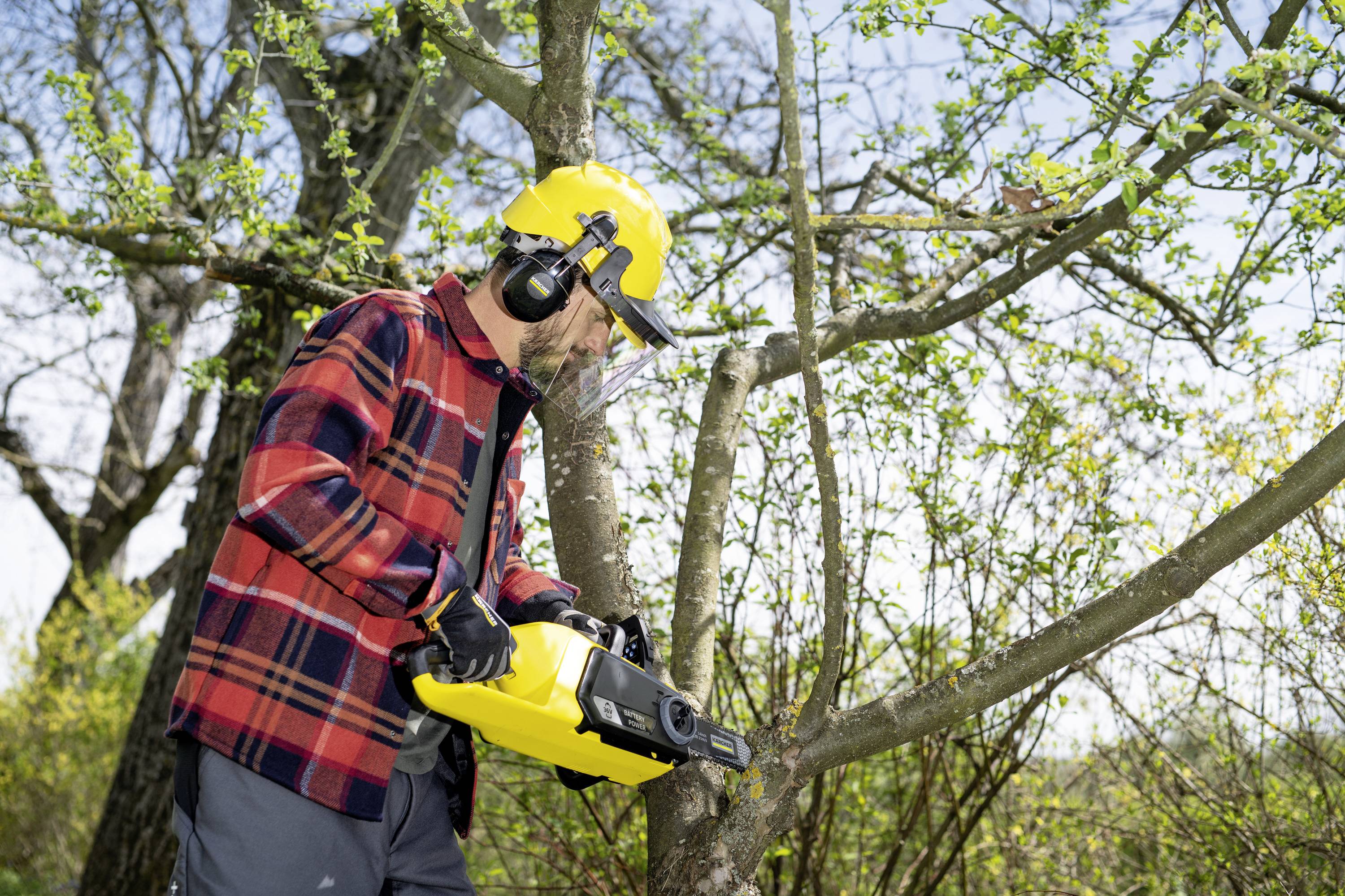 Ein Mann in Schutzkleidung und Gehörschutz schneidet mit einer Kettensäge Äste eines Baumes in einem Garten.