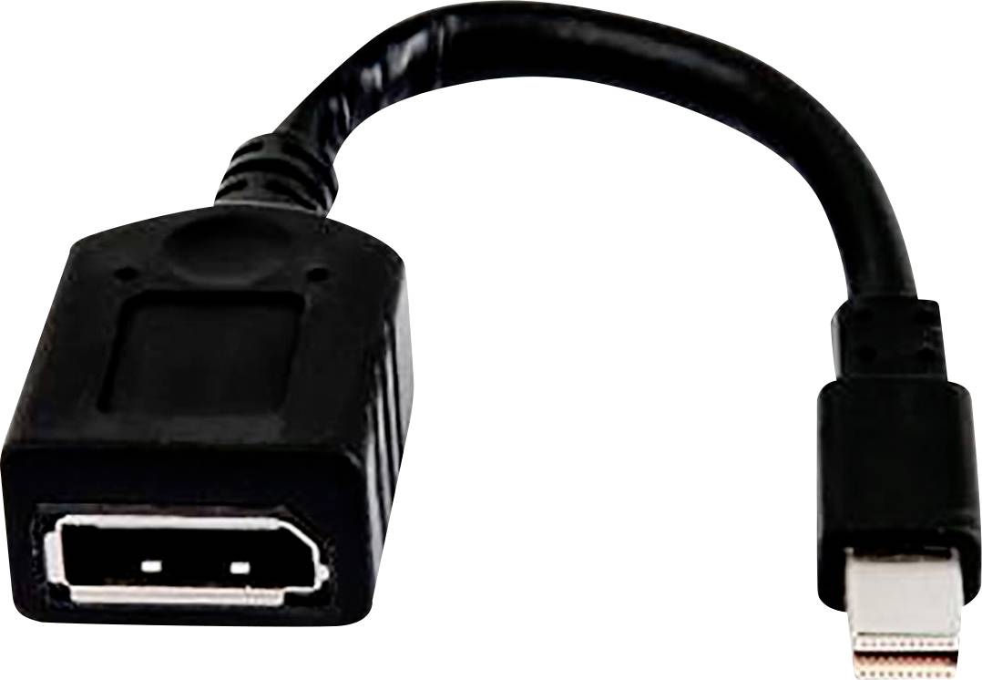 HP Mini-DisplayPort / DisplayPort Adapter [1x Mini-DisplayPort Stecker - 1x DisplayPort Buchse]
