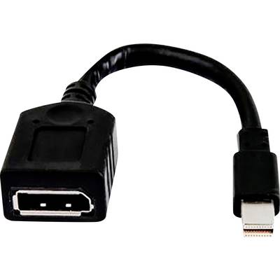 Ein schwarzer Adapter von DisplayPort auf Mini DisplayPort, der zur Verbindung von Geräten mit unterschiedlichen Anschlüssen dient.