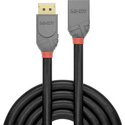 Ein schwarzes DisplayPort-Kabel mit roten Akzenten, geeignet zum Verbinden von Monitoren mit Computern für hochauflösende Videoübertragung.