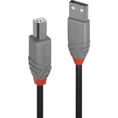 USB-Kabel: Ein Ende hat einen USB-A-Stecker, das andere einen USB-B-Stecker. Graue Kunststoffummantelung mit rotem Detail.