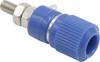 Schnepp SP 2030 BL Polklemme Blau 8 A 1 St.