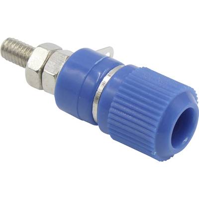 Ein blauer Bananenstecker mit geriffelter Kunststoffkappe und Metallgewinde. Verwendet für elektrische Verbindungen.