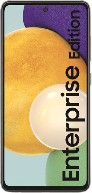 Samsung Smartphone als Dual-Sim Ausführung