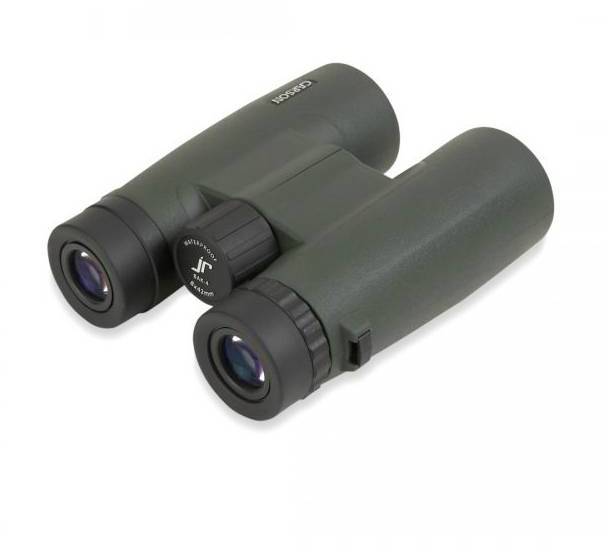 Fernglas mit schwarzem und dunkelgrauem Gehäuse. Zylinderform mit zwei Okularen. Ideal zur Naturbeobachtung oder Vogelbeobachtung.