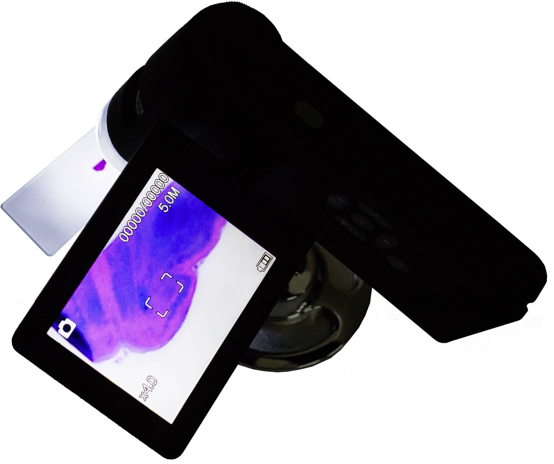 Mikroskop-Kamera zeigt ein vergrößertes Bild einer Zellprobe auf dem Display, mit blau-violettem Farbton für Analysezwecke.