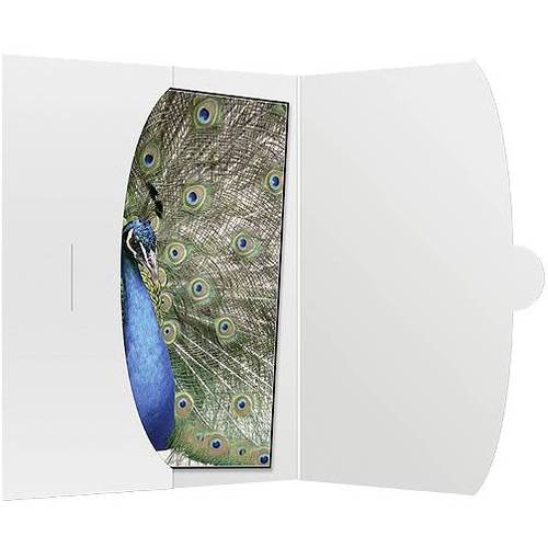 Daiber 09021 Fotohüllen Weiß