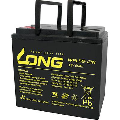 Schwarze Autobatterie mit gelbem 'Long'-Logo. Text auf der Batterie beschreibt Kapazität (12V 55Ah) und wichtige Sicherheitshinweise.