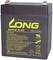 Eine 12V 4,5Ah Blei-Säure-Batterie mit gelben Aufdrucken: 'LONG WP4.5-12'. Warn- und Sicherheitshinweise auf der Vorderseite.