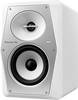 Pioneer DJ VM-50-W Aktiver Monitor-Lautsprecher 12.7 cm 5 Zoll 30 W 1 St.