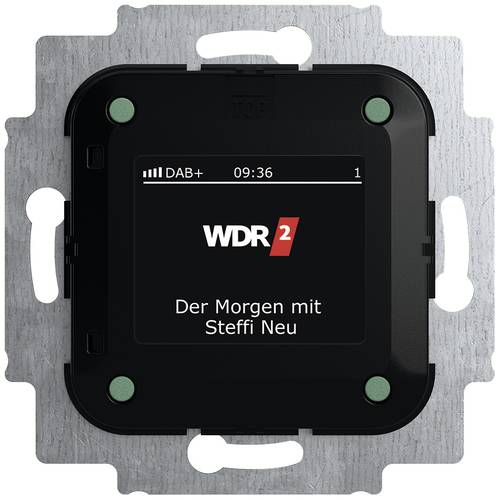 Busch-Jaeger Einsatz Radio Mehrfarbig 2CKA008200A0275 1 St.