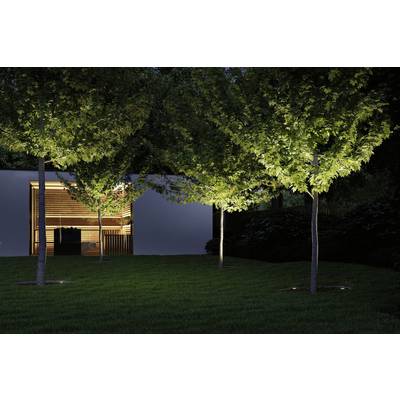 Beleuchtete Bäume vor einem modernen Gebäude mit Holzelementen in einem gepflegten Garten am Abend.