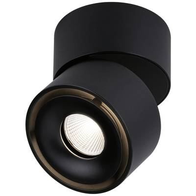 Schwarze, zylindrische Deckenleuchte mit modernem Design. Gibt fokussiertes, warmweißes Licht ab. Ideal für Wohn- oder Arbeitsbereich.