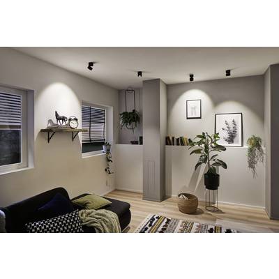 Ein stilvoll eingerichtetes Wohnzimmer mit gemütlicher Beleuchtung. Pflanzen, Bilder und Deko-Objekte auf einem Regal sorgen für eine einladende Atmosphäre.