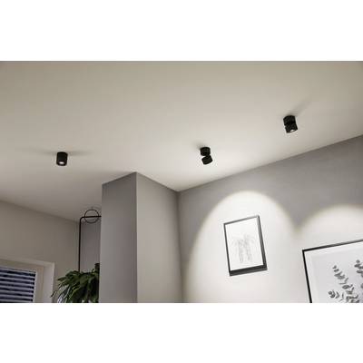 Drei schwarze Deckenstrahler beleuchten einen Raum mit hellen Wänden. An der Wand hängen zwei gerahmte Bilder. Eine Pflanze steht links.