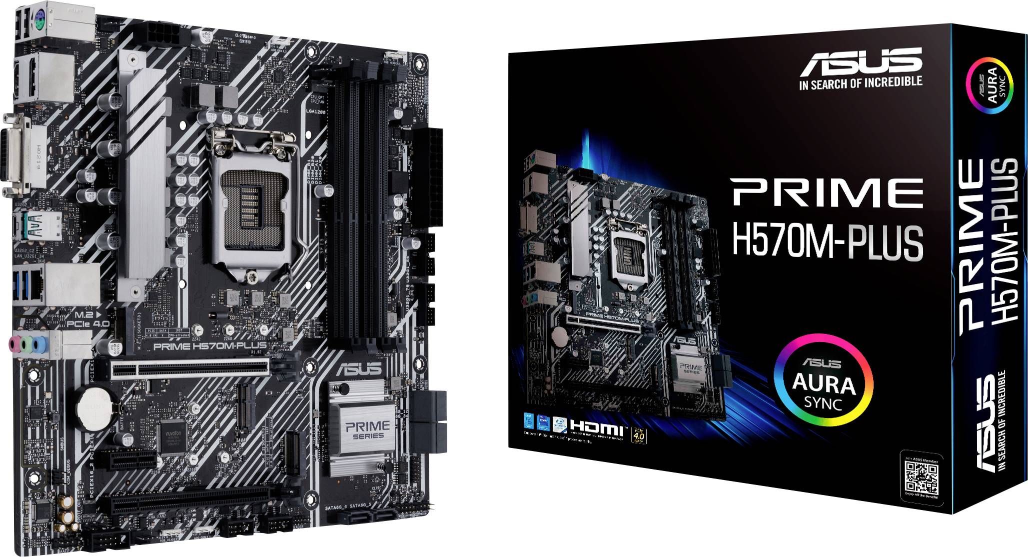 ASUS PRIME H570M-PLUS - Motherboard - micro ATX - LGA1200-Sockel - H570 Chipsatz - USB-C Gen2, USB 3.2 Gen 1, USB 3.2 Gen 2 - Gigabit LAN - Onboard-Grafik (CPU erforderlich)