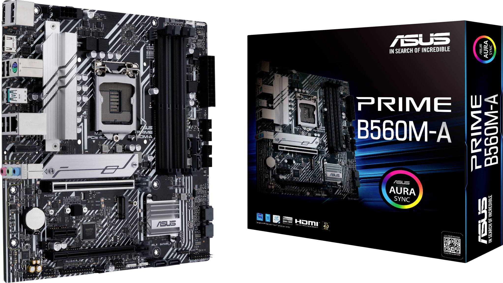 ASUS PRIME B560M-A mATX+GLN+U3.2+M2