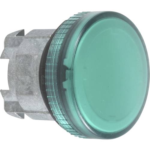 Schneider Electric ZB4BV033E ZB4BV033E Frontelement für Leuchtmelder (Ø) 22 mm Grün, Chrom 1 St.