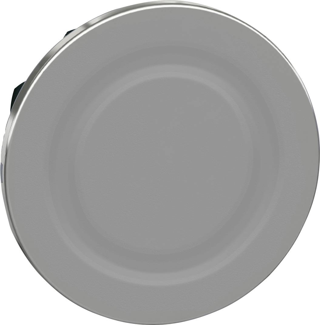 Schneider Electric ZB4FSZ3 ZB4FSZ3 Blindverschluss flach 1 St.