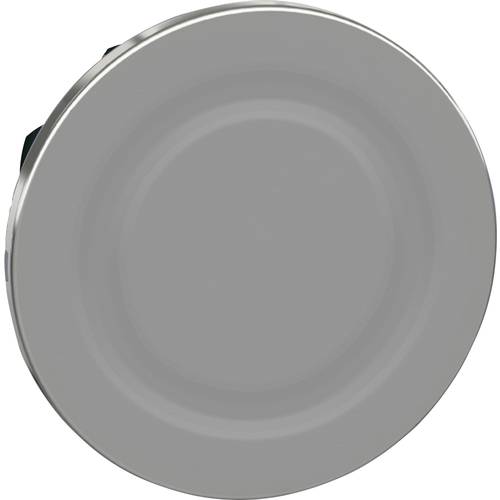 Schneider Electric ZB4FSZ3 ZB4FSZ3 Blindverschluss flach 1 St.